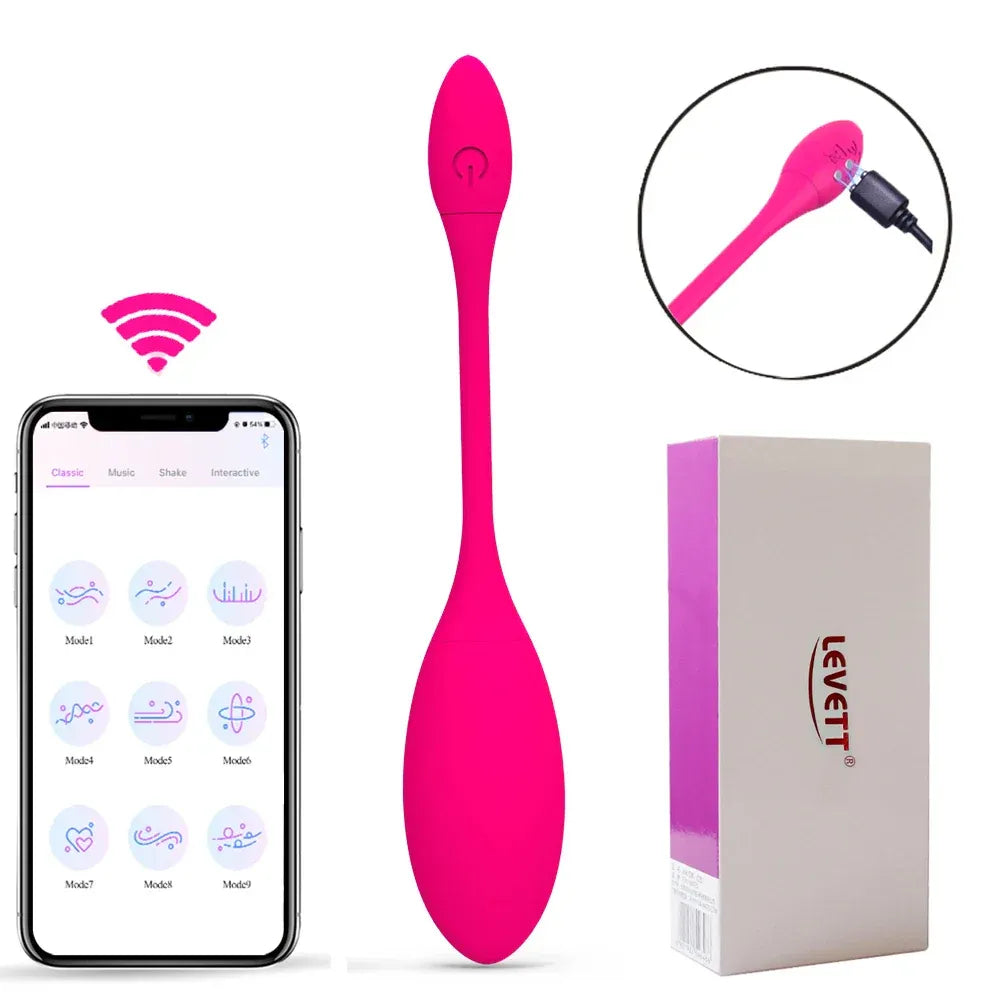 Electric Shock Kegel Ball Vibrator For Women